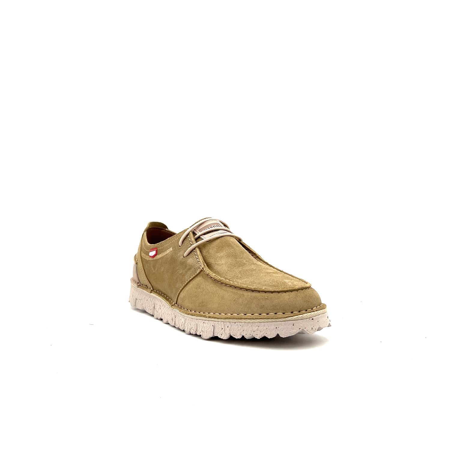803 803CACTUS ON FOOT