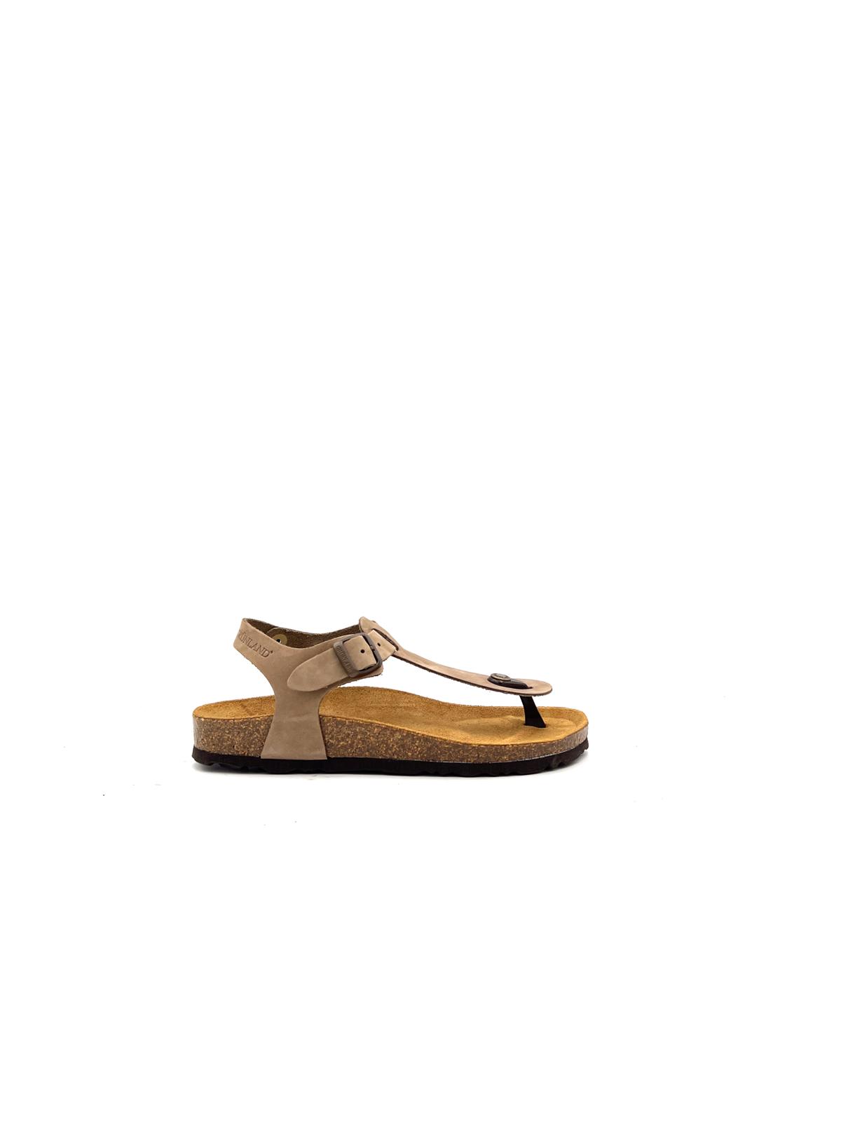 SB0001 SB0001KAKI GRUNLAND