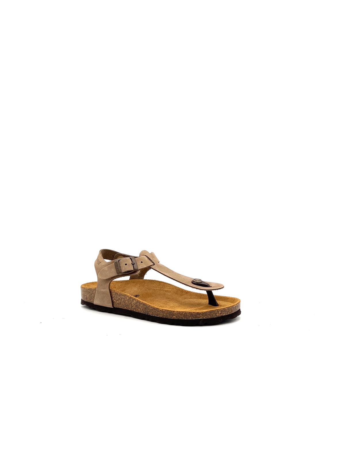 SB0001 SB0001KAKI GRUNLAND