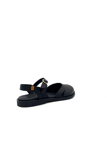 N5874 N5874BLACK EL NATURALISTA