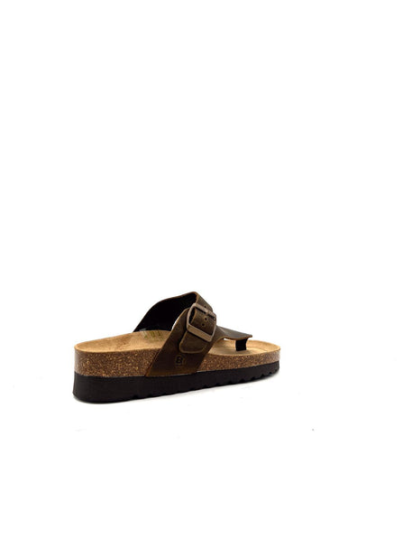 3908 3908MARRONE BIOLINE