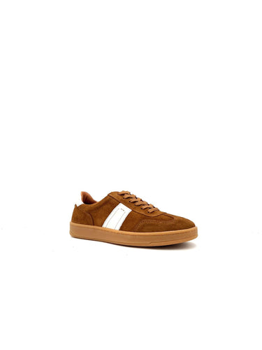 1162CP 1162CPCAMEL HOLD