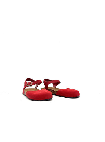 HOLLY HOLLYROSSO BIOLINE