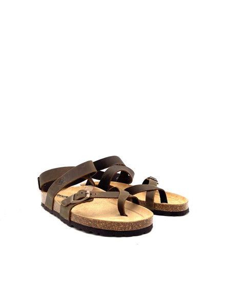 229 229MARRONE BIOLINE