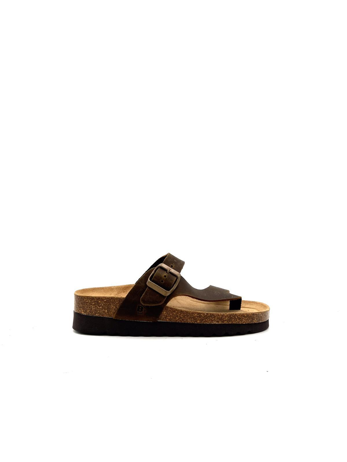 3908 3908MARRONE BIOLINE