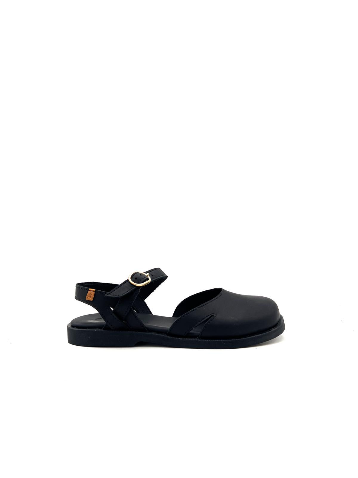 N5874 N5874BLACK EL NATURALISTA