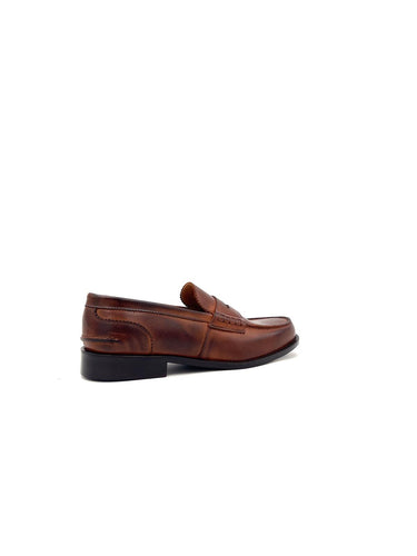 301 301MARRONE ARCURI