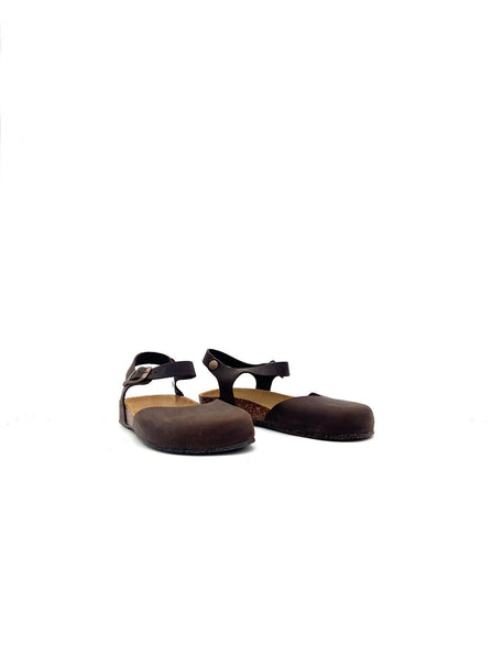 HOLLY HOLLYTDM BIOLINE