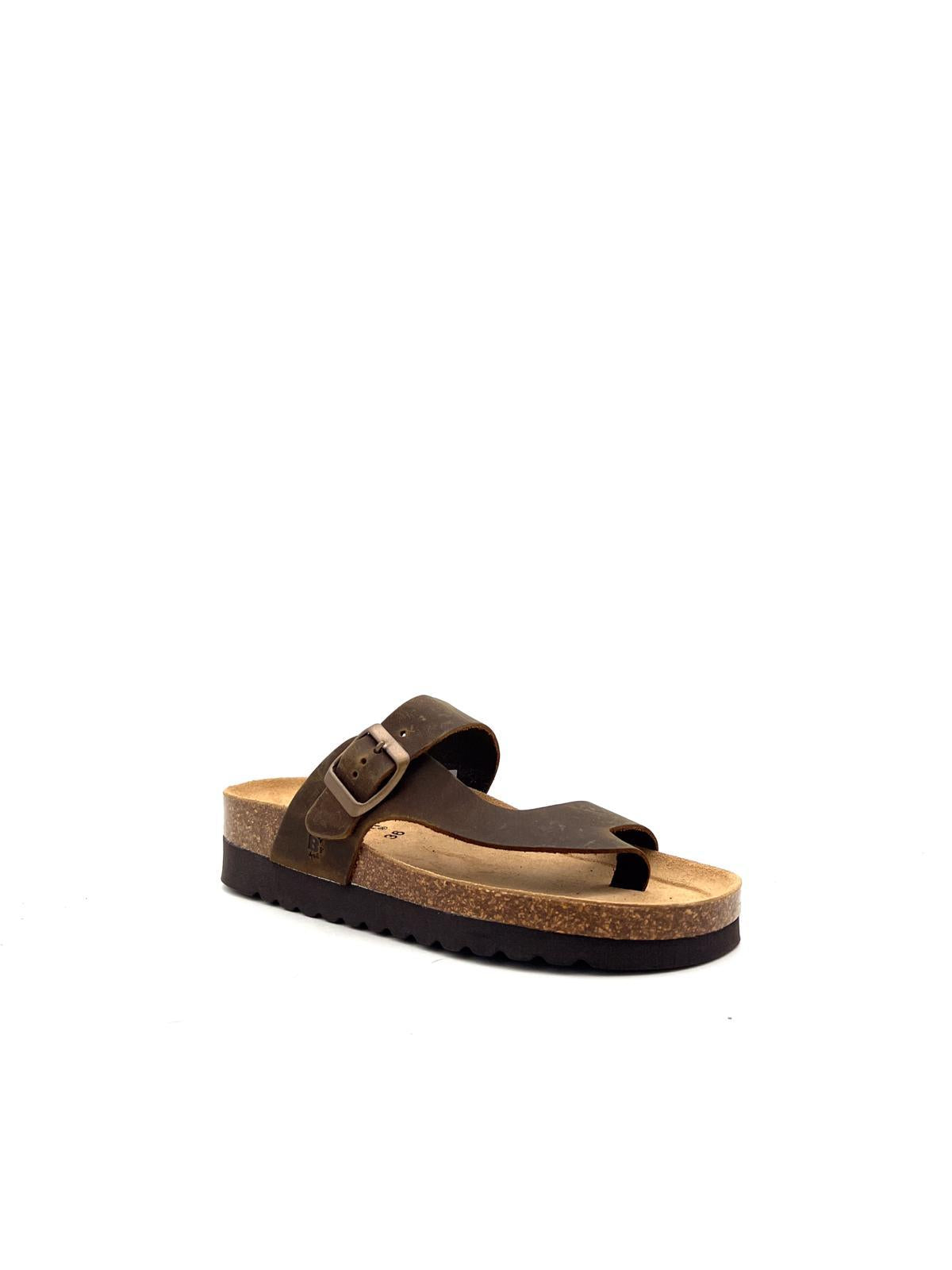 3908 3908MARRONE BIOLINE