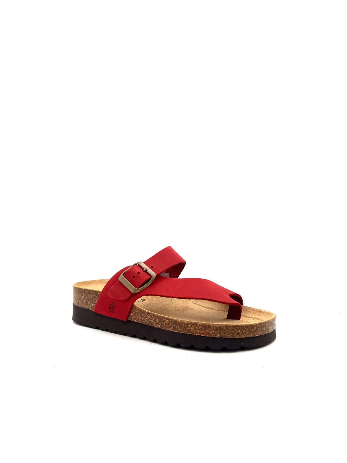 3908 3908ROSSO BIOLINE