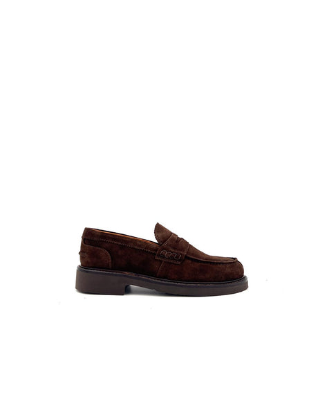 442 Vienna 442 ViennaTERRA EXTON