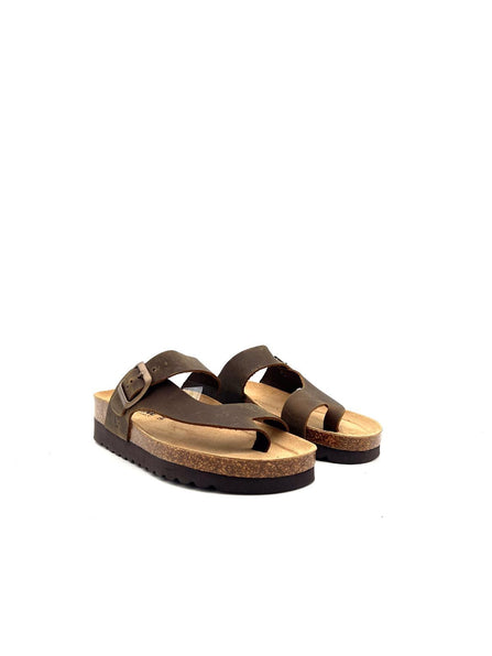 3908 3908MARRONE BIOLINE