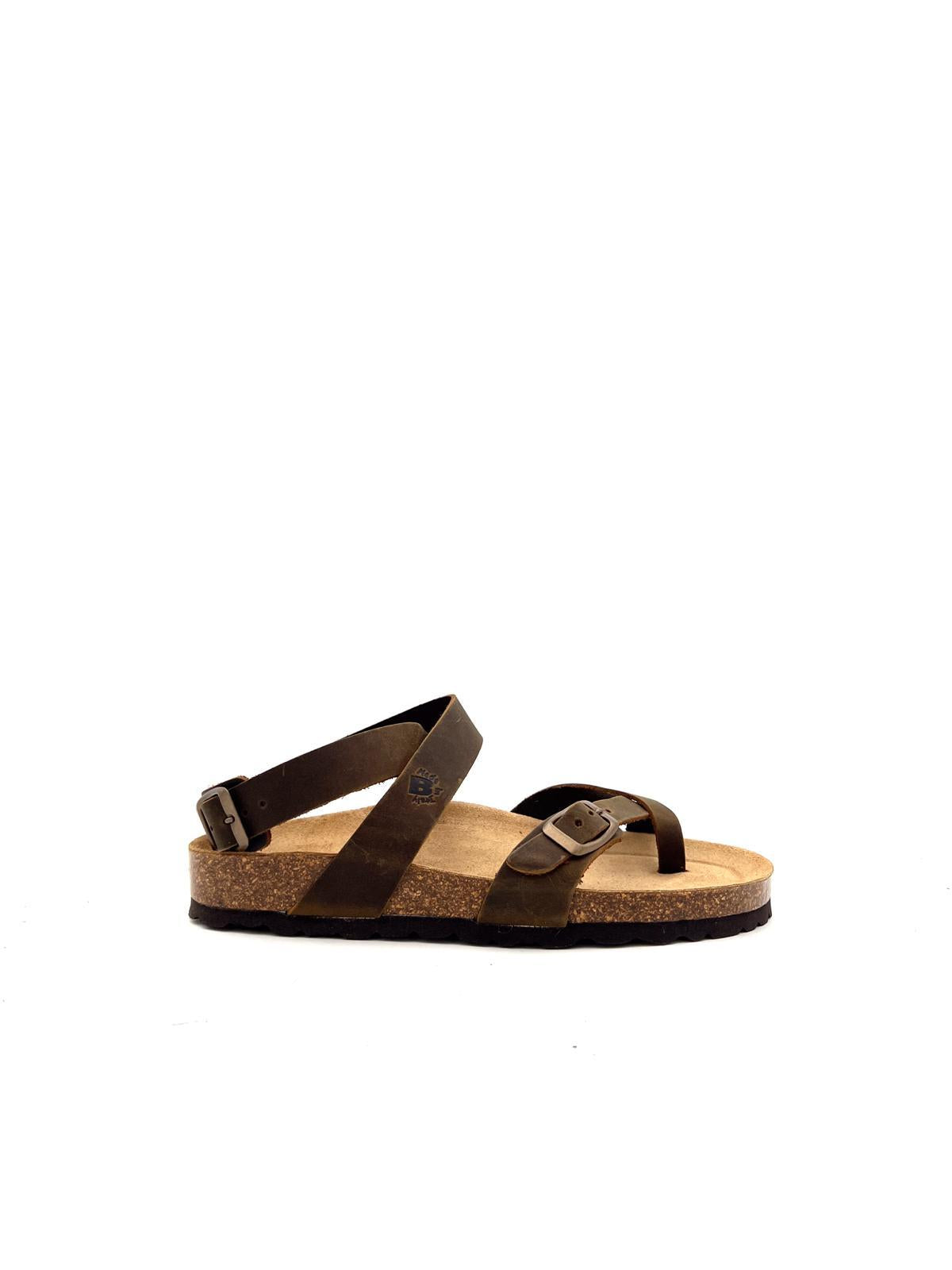 229 229MARRONE BIOLINE