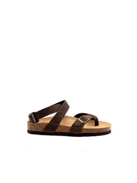 229 229MARRONE BIOLINE