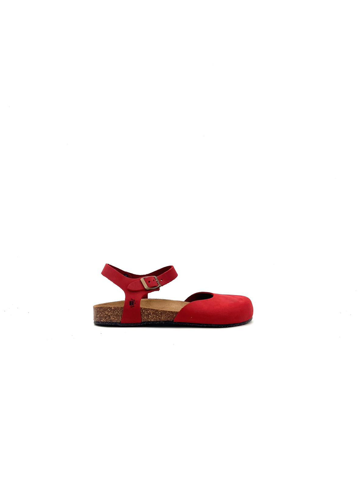 HOLLY HOLLYROSSO BIOLINE