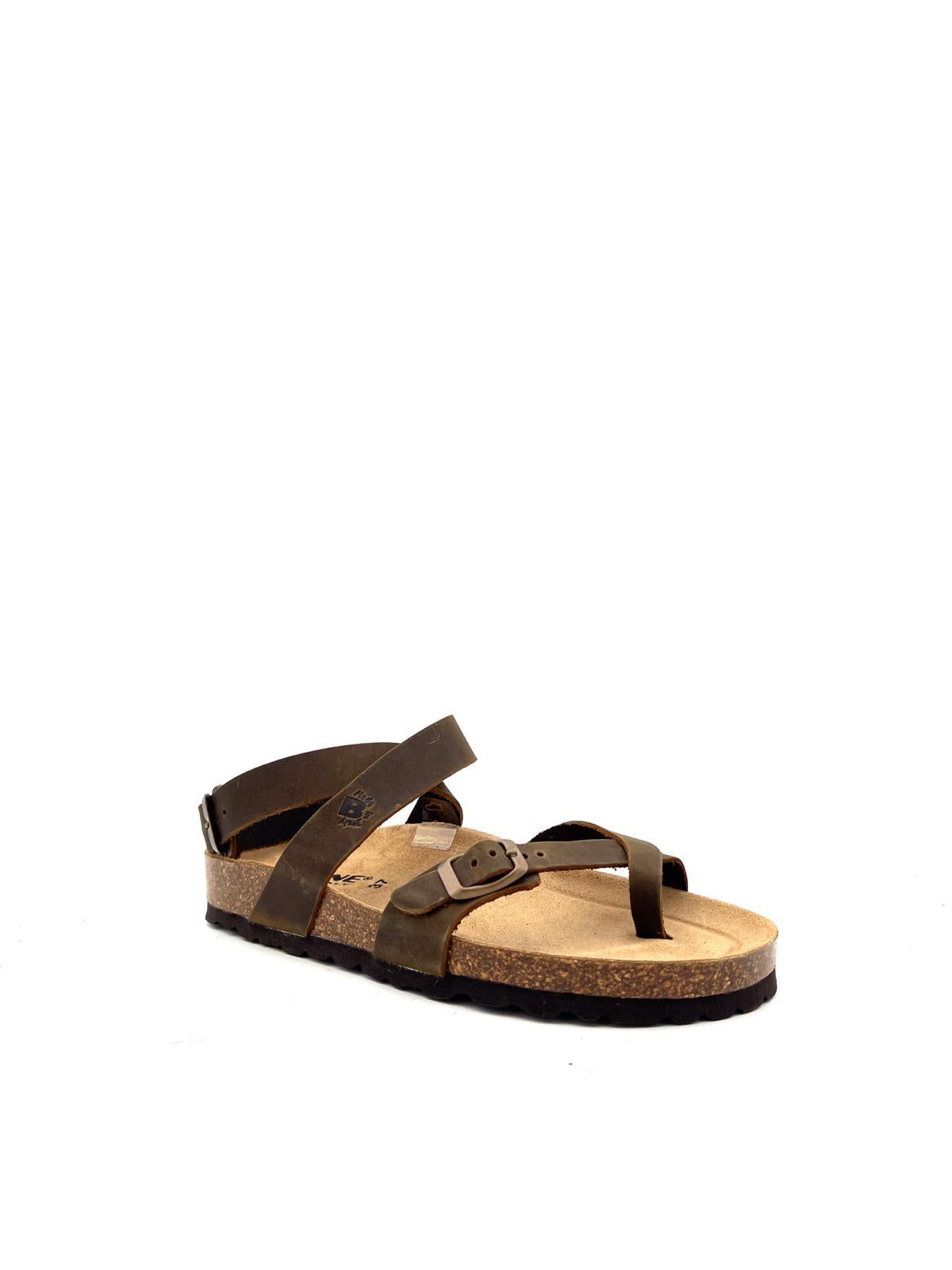 229 229MARRONE BIOLINE
